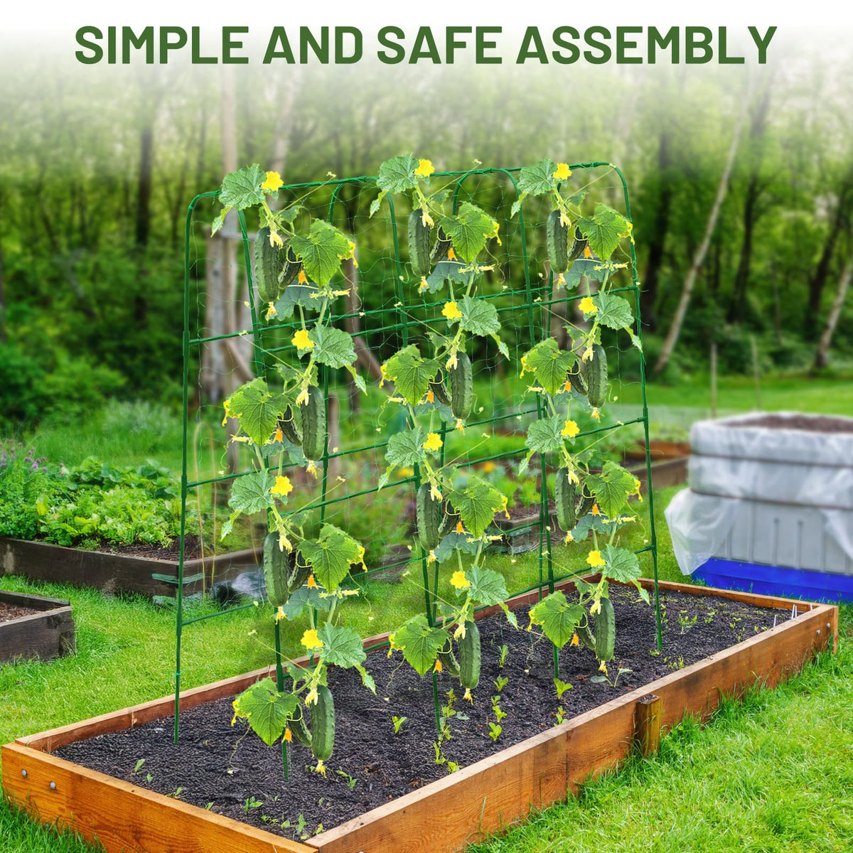 Compact PHENEAHILL design fits small balconies and raised beds without crowding.