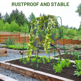 Includes nylon netting for immediate setup and reliable plant support.