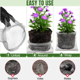 Phepetroll 5-gallon basket shields tomatoes and peppers from burrowing pests.