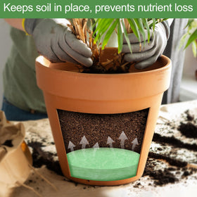 Indoor and outdoor planter compatibility with durable Phepetroll filler.
