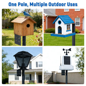 Phikrou multi-feeder capacity creates a lively backyard setup.