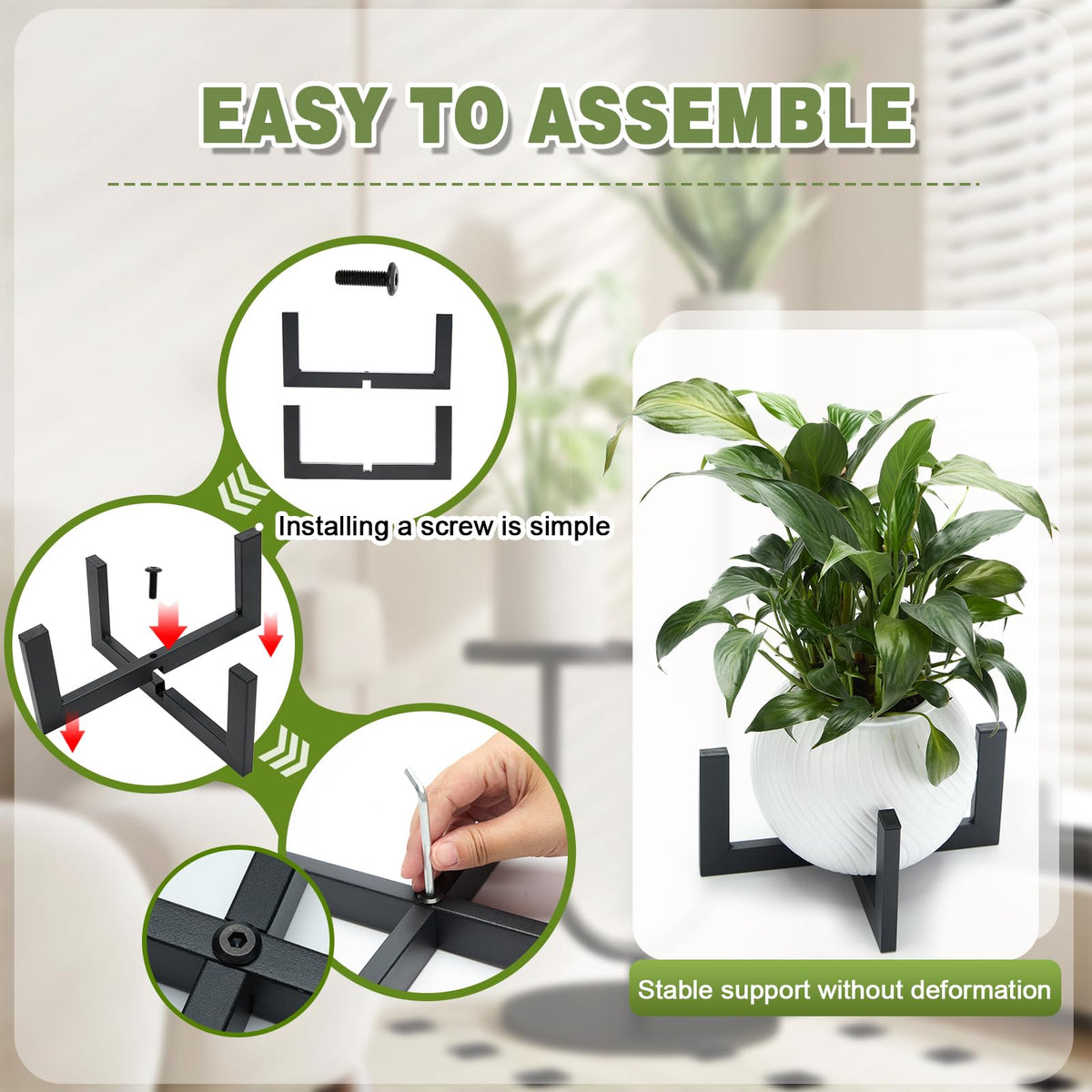 Phikrou multi-pack option with two stands for cohesive displays.