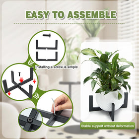 Phikrou multi-pack option with two stands for cohesive displays.