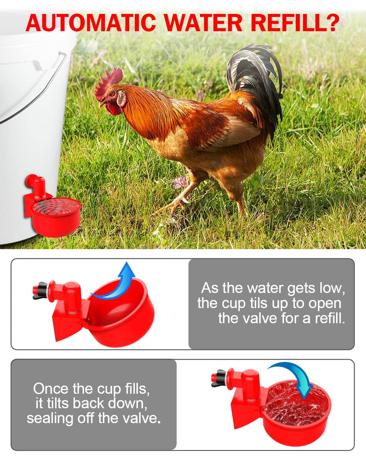 PHOEGRAY cups keep water fresh, reducing contamination risk in flock.