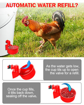 PHOEGRAY cups keep water fresh, reducing contamination risk in flock.