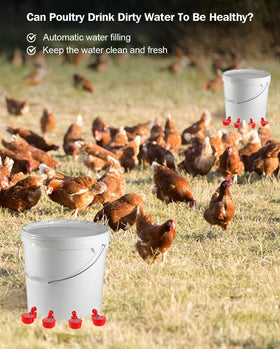 PHOEGRAY water cups suit chickens and ducks for unified watering.