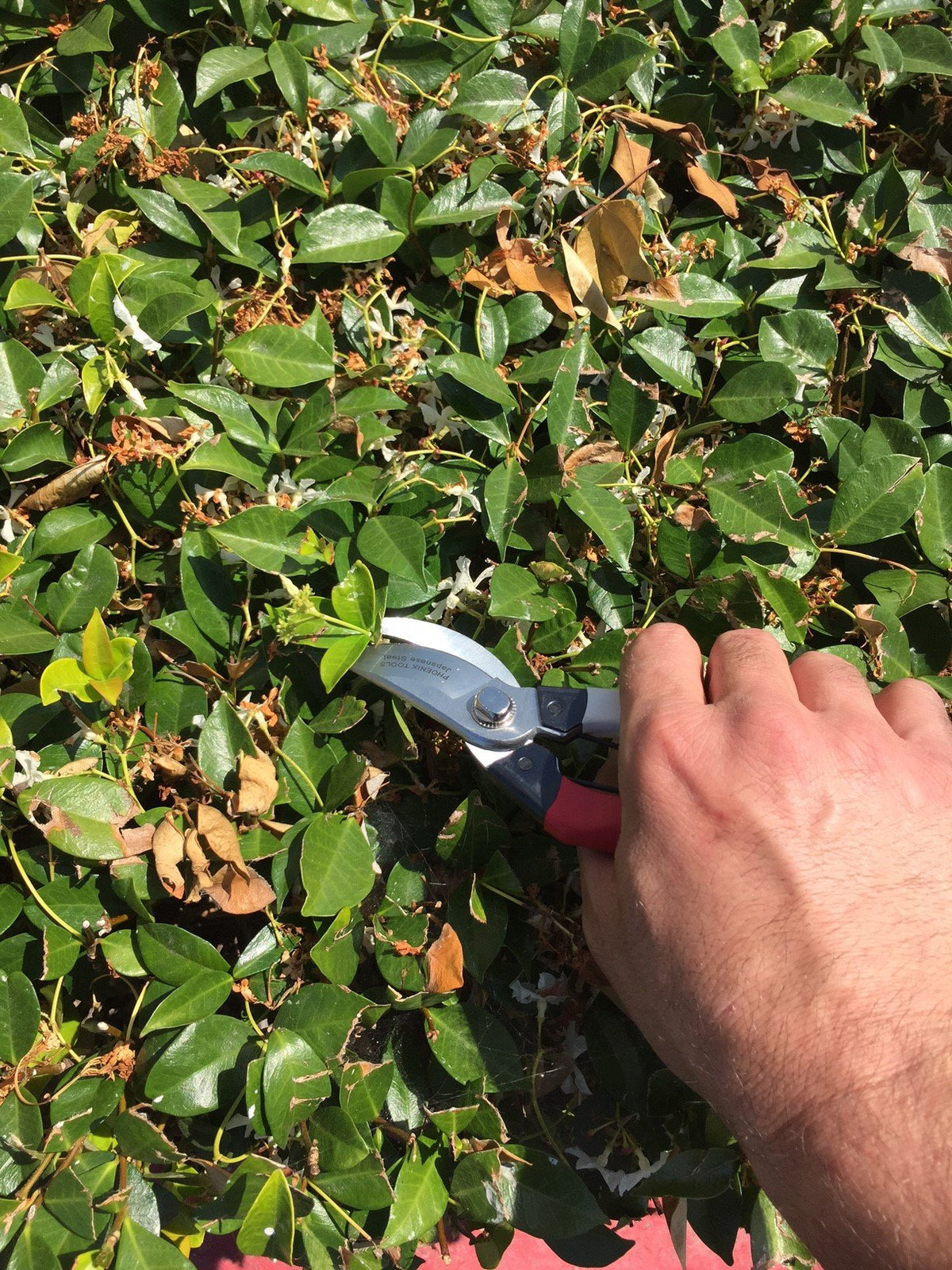 Phoenix Tools safety clip keeps blades closed during storage for safety