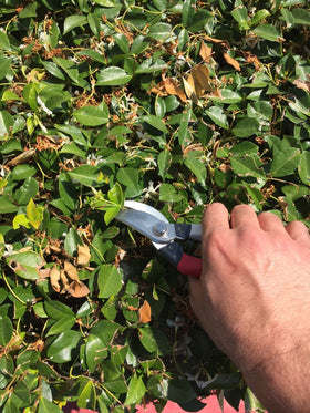 Phoenix Tools safety clip keeps blades closed during storage for safety