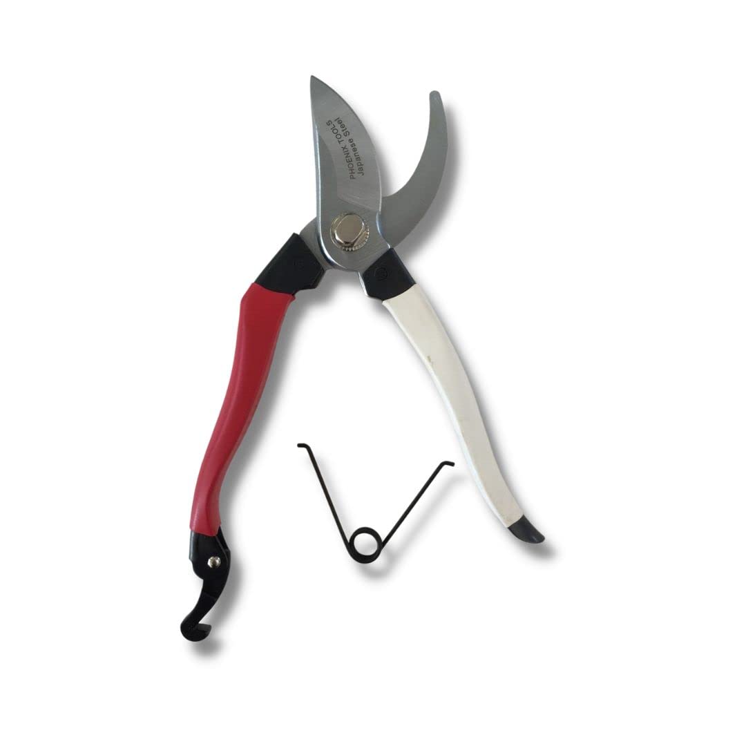 Phoenix Tools three-quarter-inch-cut proves efficient pruning of medium branches
