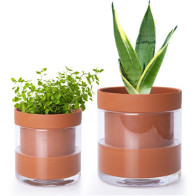 Phoenix Vine 4-inch self-watering pot shows the glass reservoir for steady indoor moisture