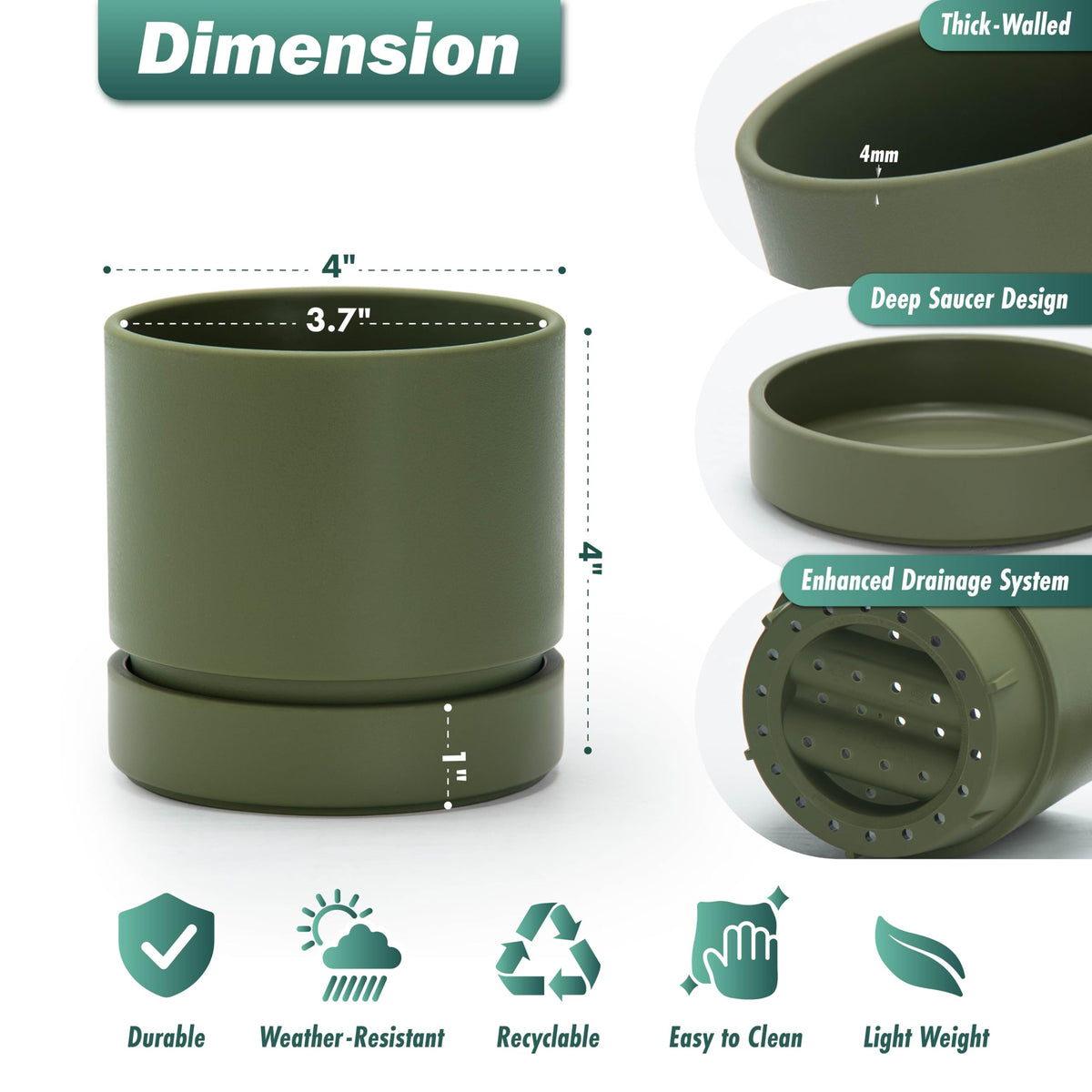 Phoenix Vine 4-Inch Olive Planter with deep saucer to prevent overwatering.