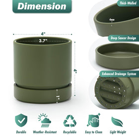 Phoenix Vine 4-Inch Olive Planter with deep saucer to prevent overwatering.