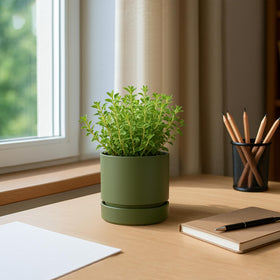 Phoenix Vine 4-Inch Olive Planter in an office setup, a stylish decor option.