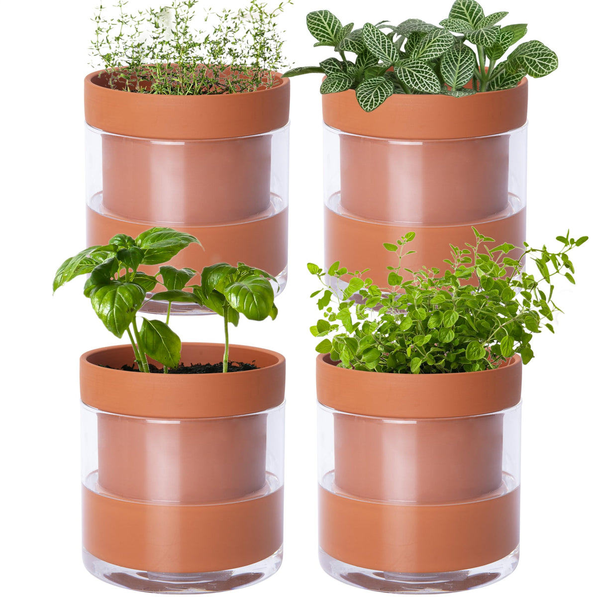 Phoenix Vine 4-inch self-watering planter outer view for easy moisture control.
