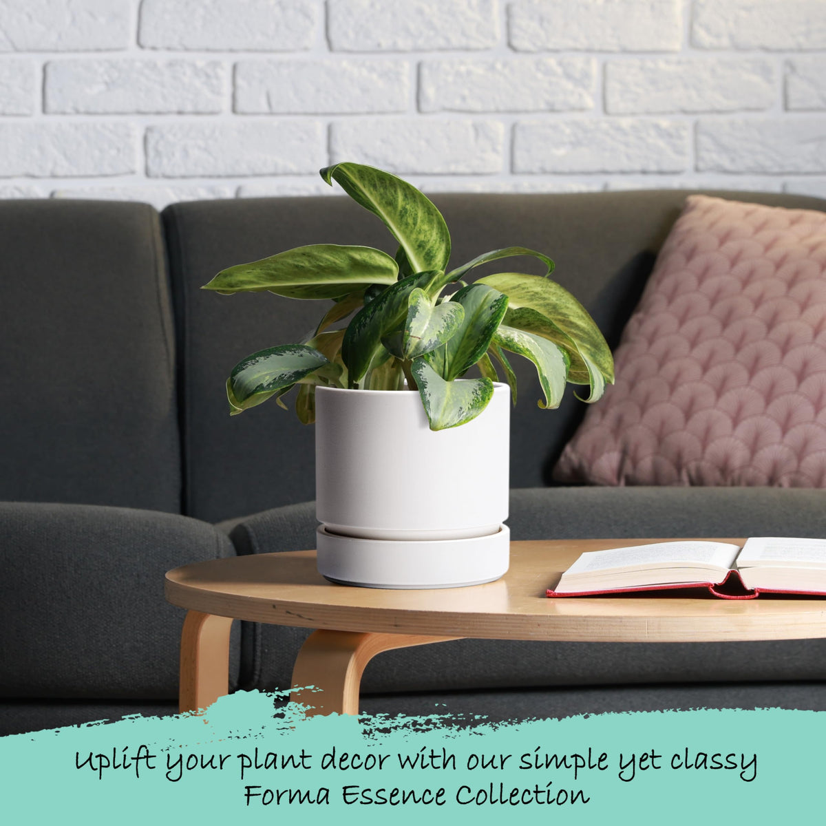 Phoenix Vine matte black planter adds modern contrast to any room.