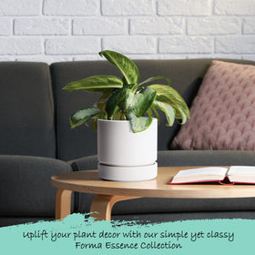 Phoenix Vine matte black planter adds modern contrast to any room.