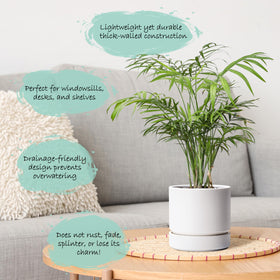 Phoenix Vine 6-inch planter with smooth ceramic-like finish blends with decor.