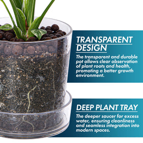 Phoenix Vine bottom-watering support helps nourish roots evenly.