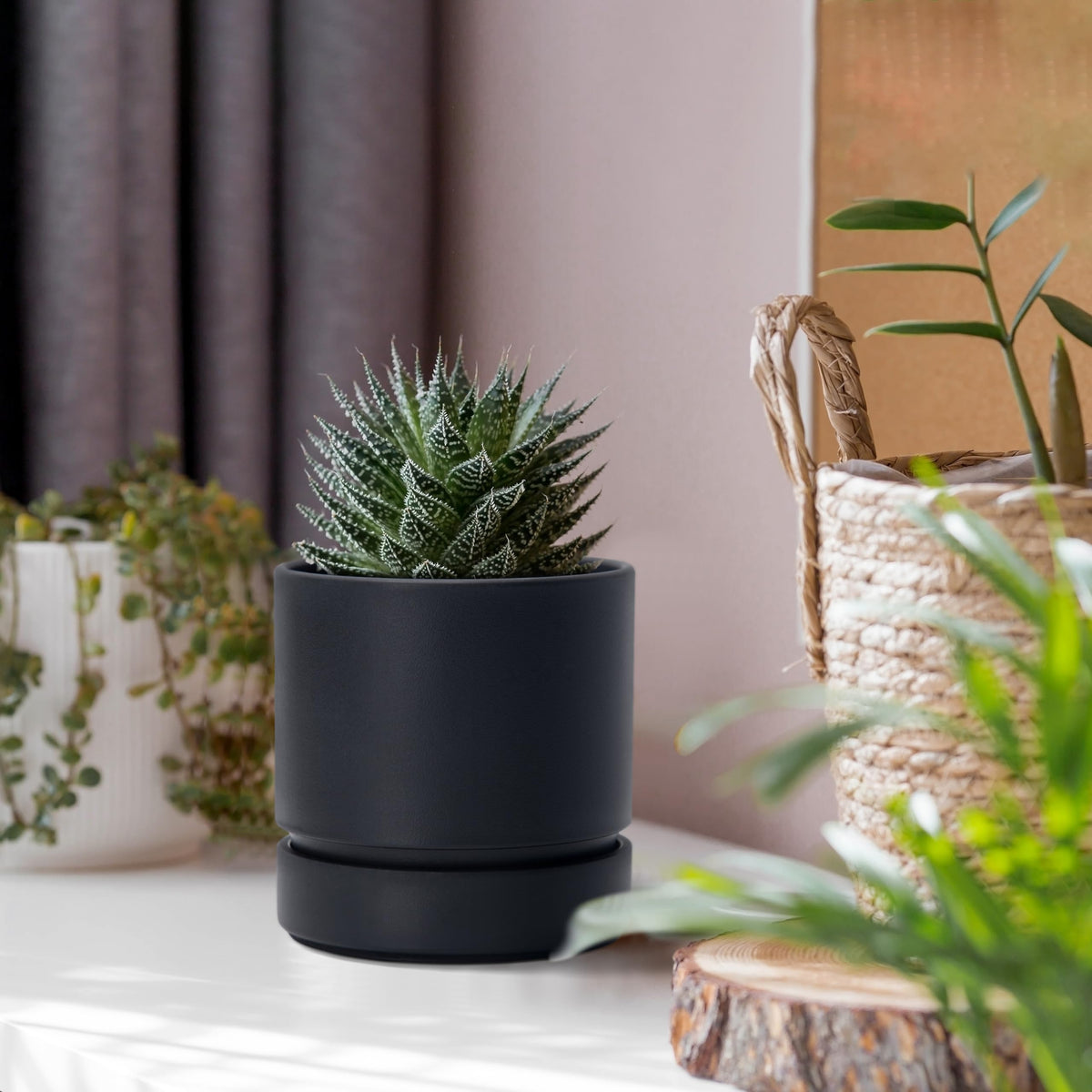 Phoenix Vine bottom watering tray helps hydration without overwatering.