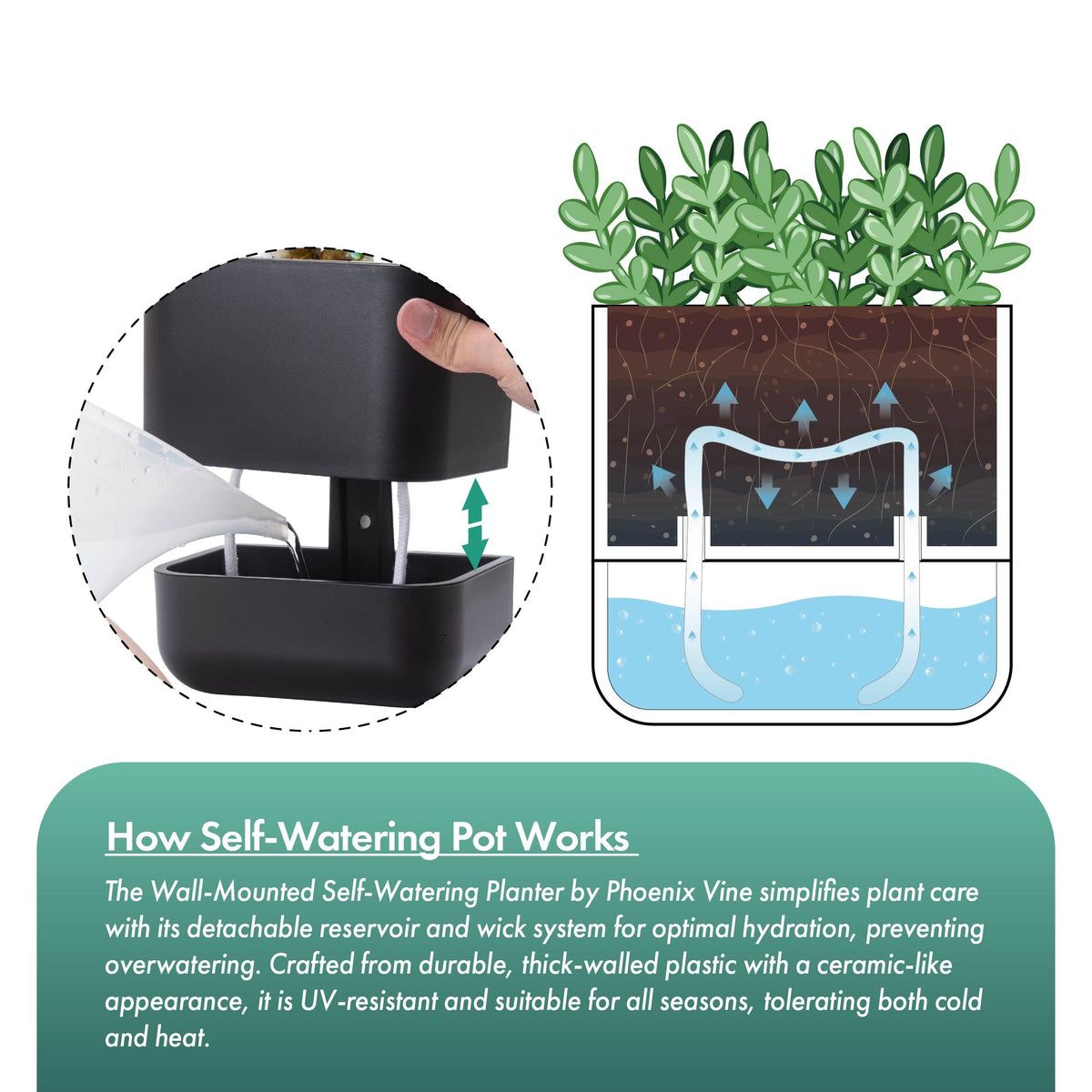 Phoenix Vine durable plastic with ceramic-like finish for a premium look.