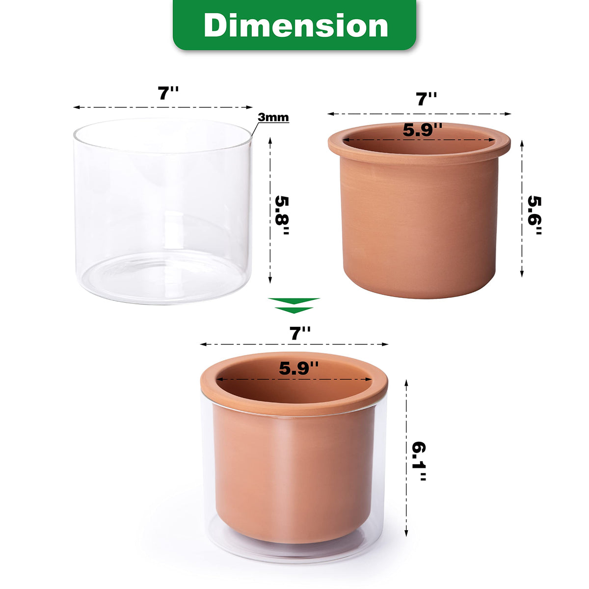 Phoenix Vine dimension guide shows outer and inner diameter for plant fit.