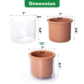 Phoenix Vine dimension guide shows outer and inner diameter for plant fit.