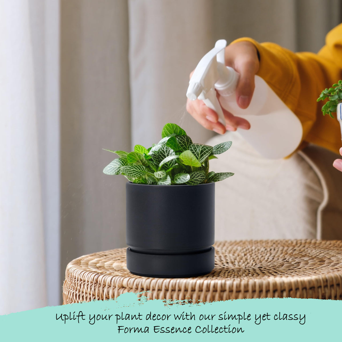 Phoenix Vine durable plastic planter built to last for indoor plants.