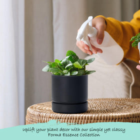 Phoenix Vine durable plastic planter built to last for indoor plants.