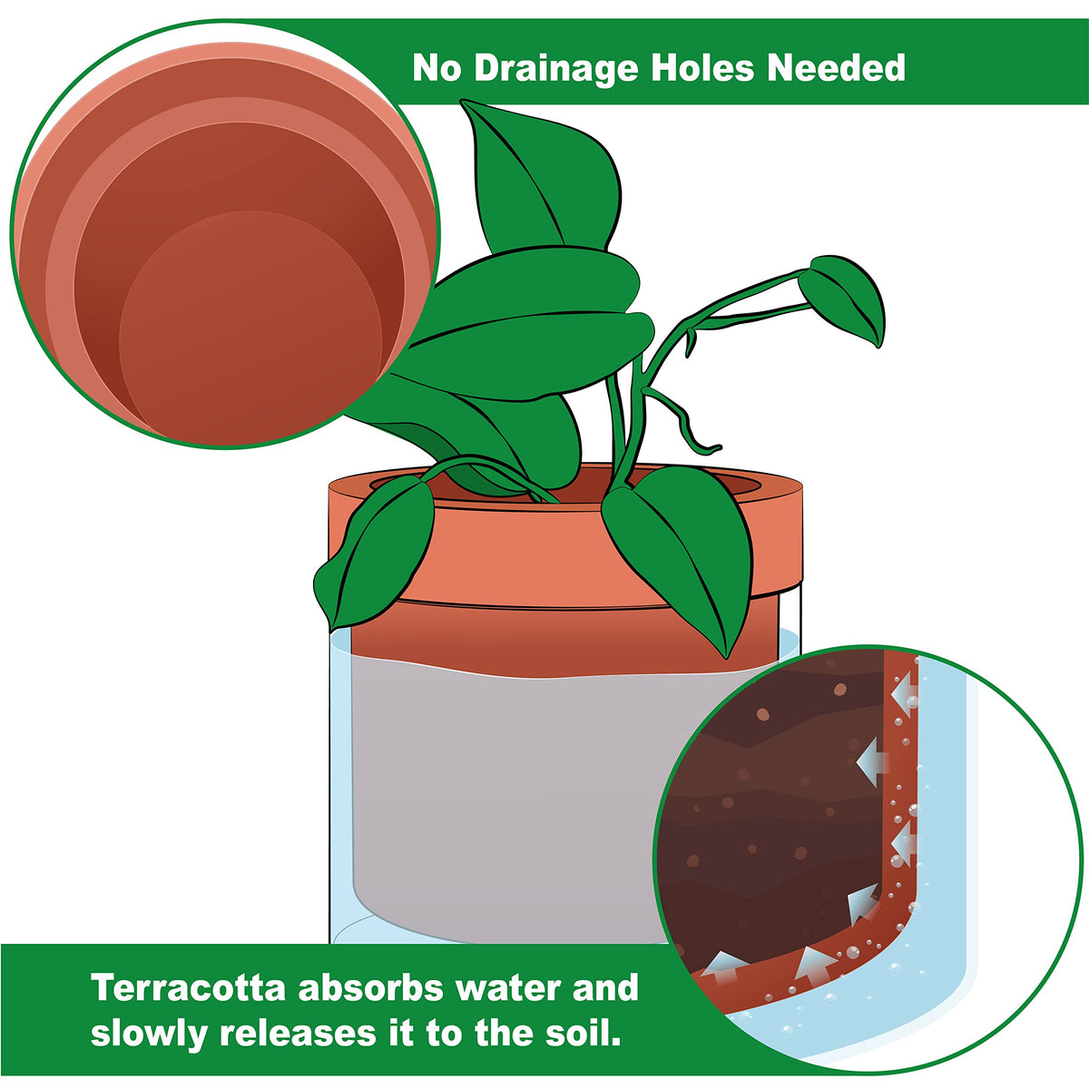 Phoenix Vine glass reservoir top view demonstrates effortless refilling and monitoring