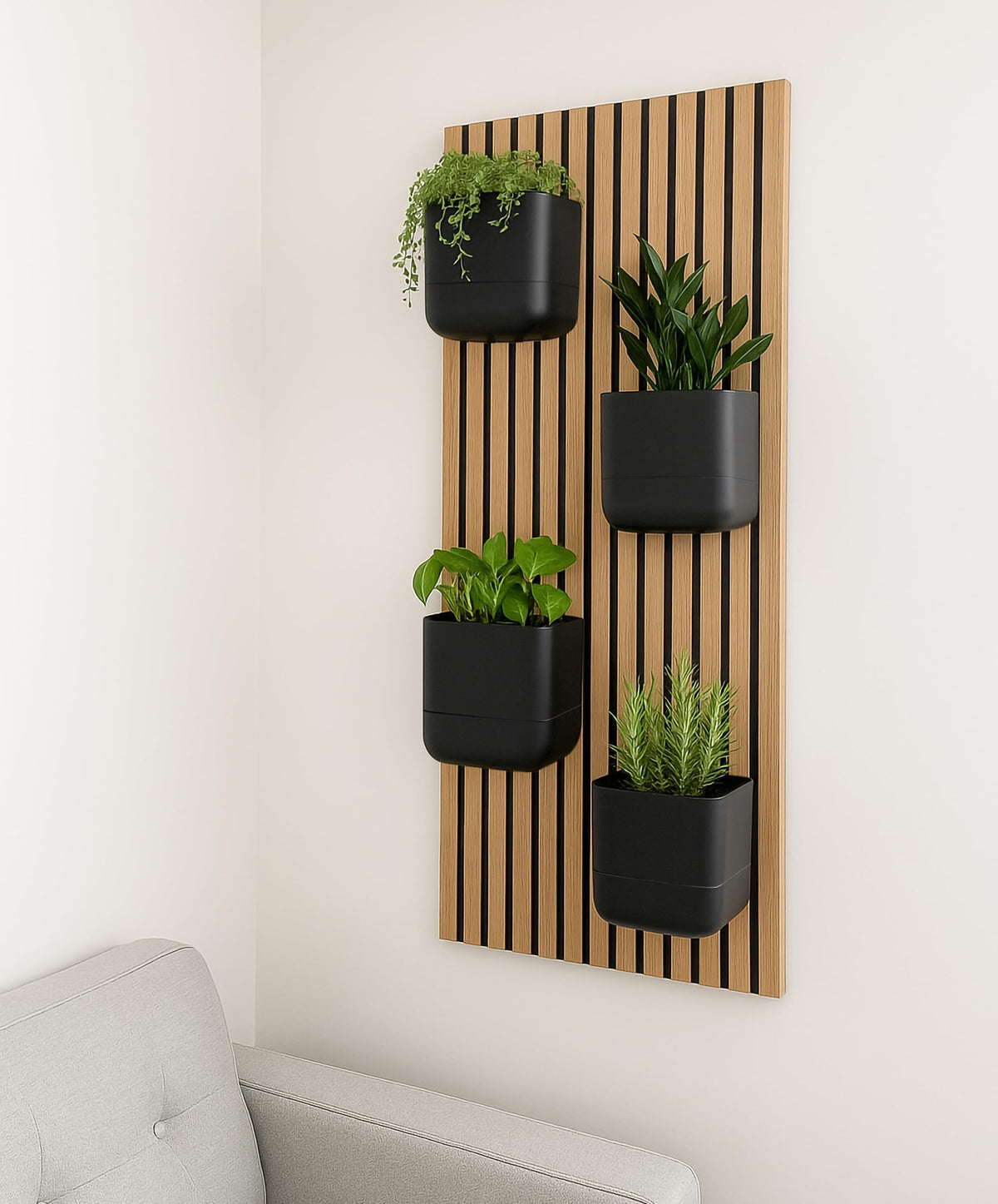Phoenix Vine hanging planters suit window sills and bathroom walls for greenery.