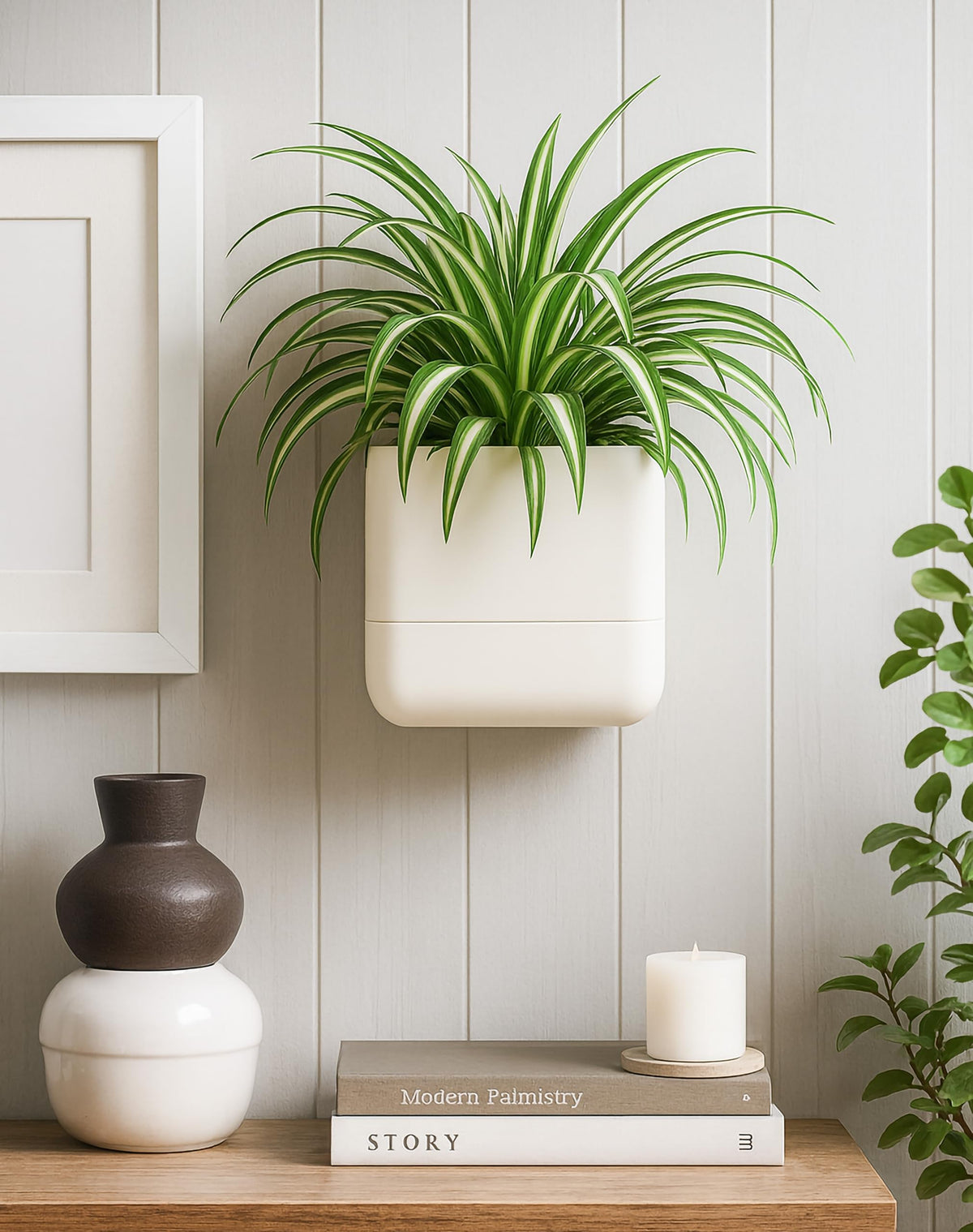 Phoenix Vine indoor herbs and small plants setup