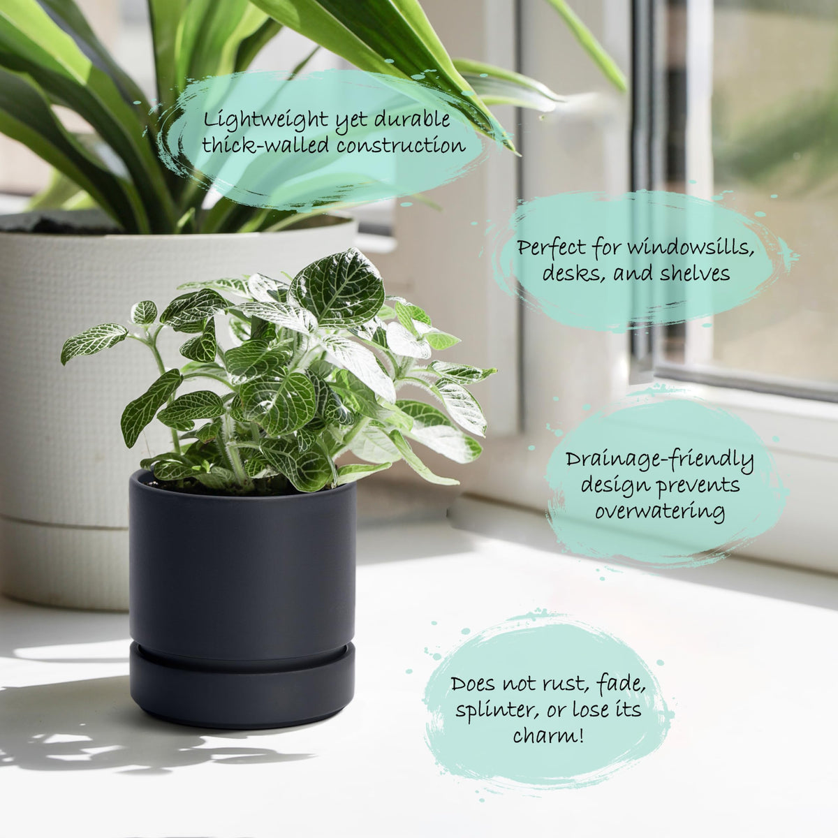 Phoenix Vine matte black planter styled as minimalist home decor.