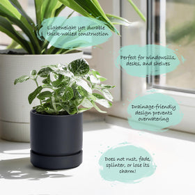 Phoenix Vine matte black planter styled as minimalist home decor.