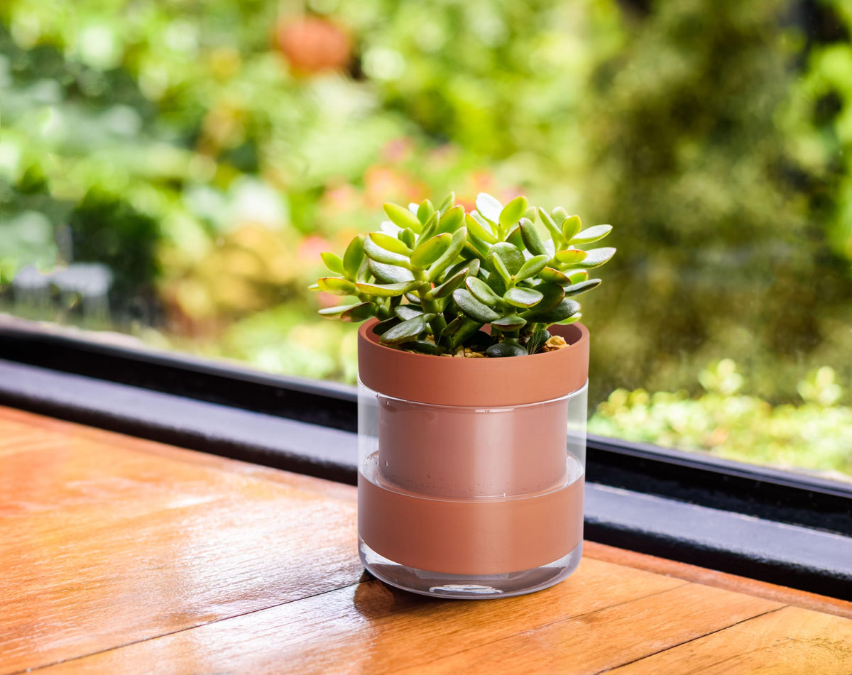 Phoenix Vine minimalist terracotta design complements any decor.