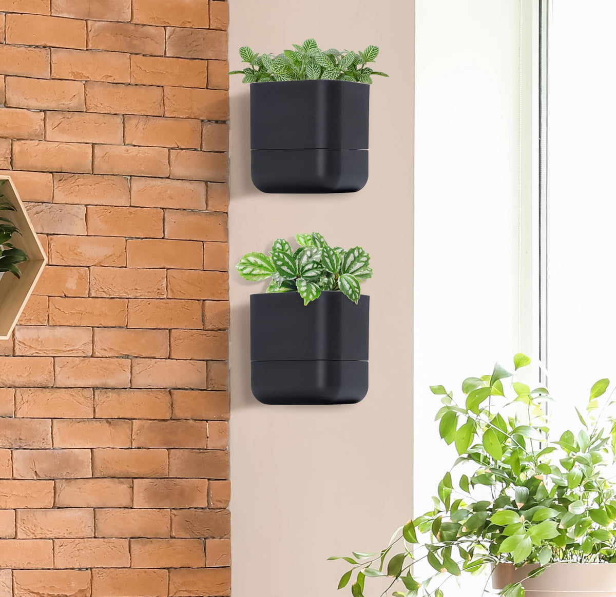 Phoenix Vine modern black finish complements contemporary home decor settings.