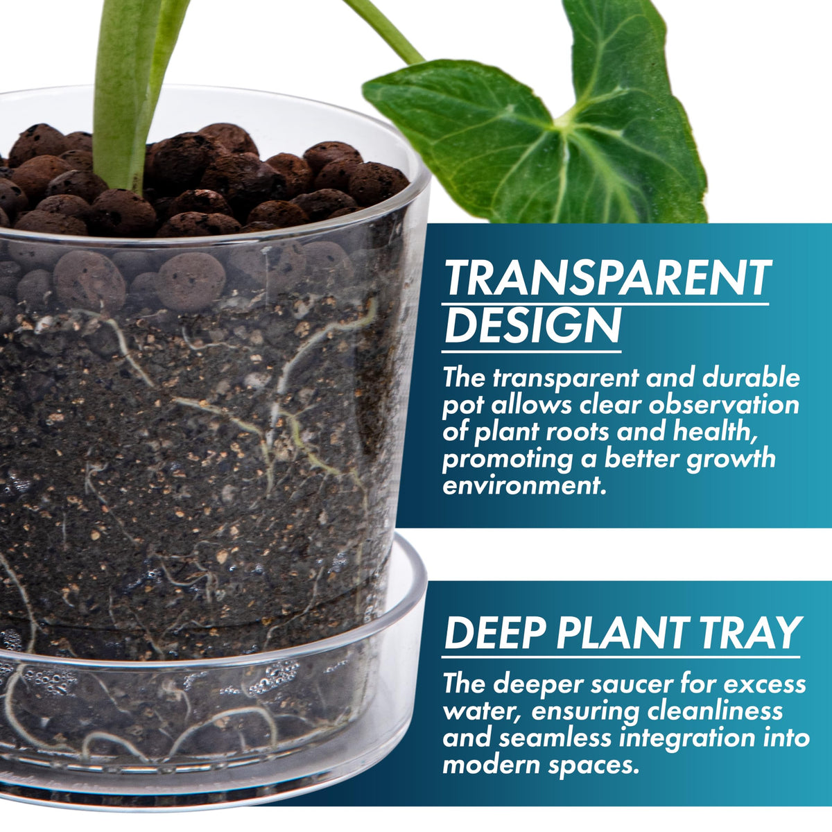 Phoenix Vine orchid pot with drainage holes helps prevent overwatering.