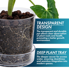 Phoenix Vine orchid pot with drainage holes helps prevent overwatering.