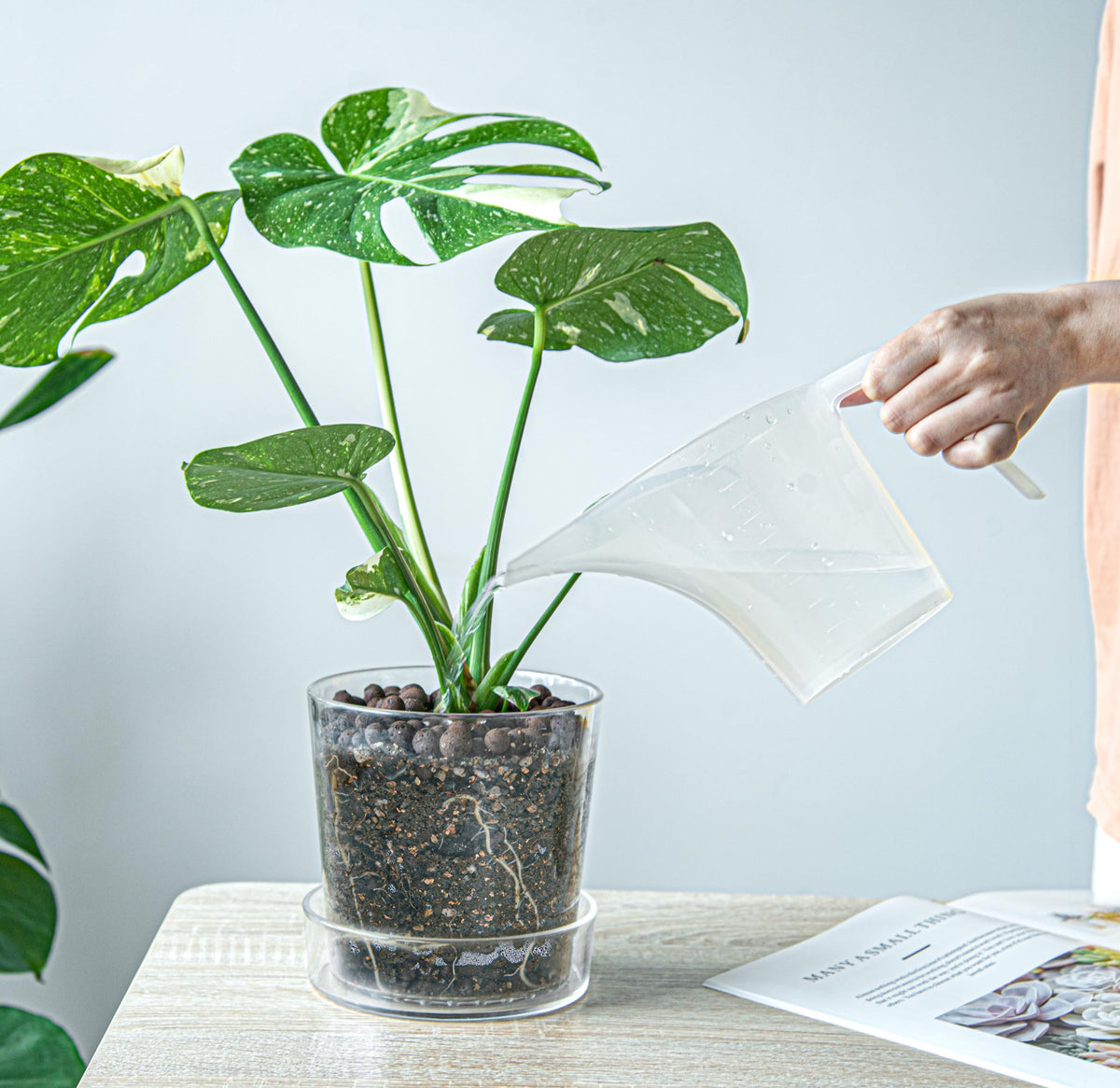 Phoenix Vine orchid-friendly pot suitable for orchids, seedlings, and herbs.