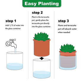 Phoenix Vine packaging protects contents for safe delivery and easy replacement.