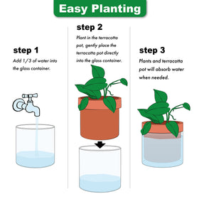 Phoenix Vine planter in use with fresh herbs on a counter for everyday use.