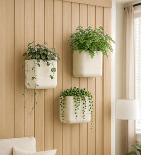 Phoenix Vine self-watering wick system reservoir detail for steady moisture
