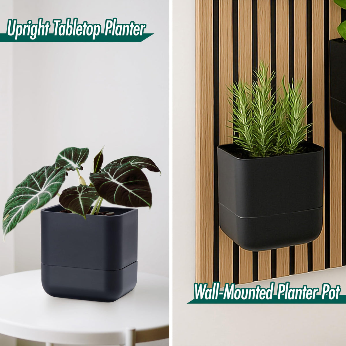Phoenix Vine self-watering wick system keeps plants hydrated with minimal effort.
