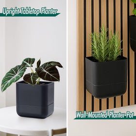 Phoenix Vine self-watering wick system keeps plants hydrated with minimal effort.