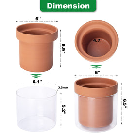 Phoenix Vine set of two planters on a shelf with plants for coordinated display.
