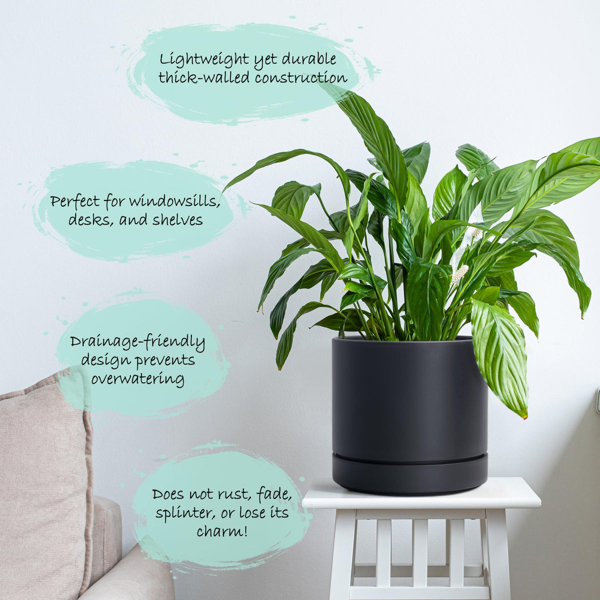 Phoenix Vine straight cylindrical planter in matte black suits modern spaces.