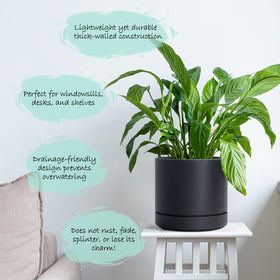 Phoenix Vine straight cylindrical planter in matte black suits modern spaces.