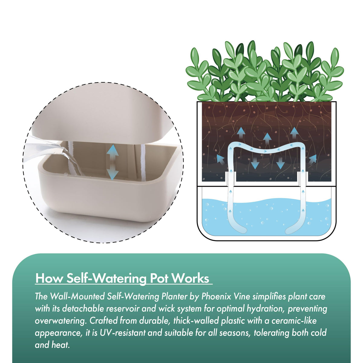 Phoenix Vine wall-mounted hanging planter on window sill