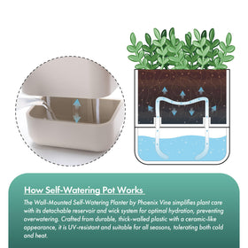 Phoenix Vine wall-mounted hanging planter on window sill