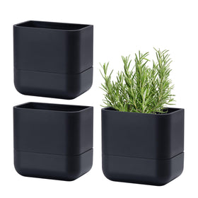 Phoenix Vine wall-mounted planter in black saves space while displaying two small plants.