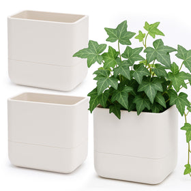 Phoenix Vine wall-mounted planter set of 3 in oatmeal, showcasing a vertical garden
